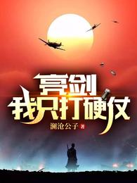 亮剑：我只打硬仗澜沧公子