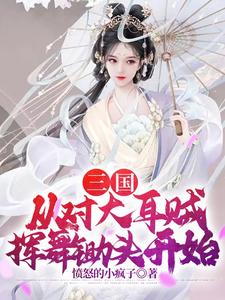 三国：从对大耳贼挥舞锄头开始愤怒的小疯子