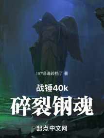 战锤40k：碎裂钢魂107钢魂碎档了