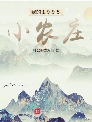 我的1995小农庄叶公好龙A