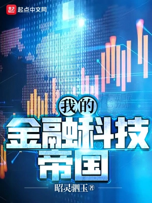 我的金融科技帝国昭灵驷玉著