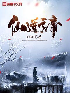 仙道之帝SSD